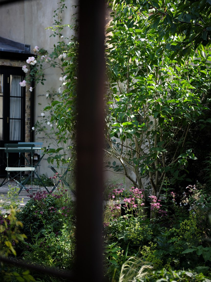Abundance and scent link house and terrace