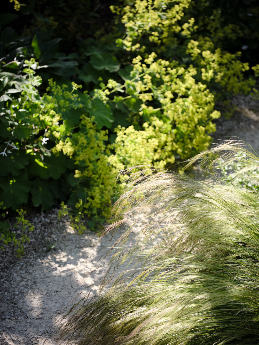 Tactile perennials overflow pathways