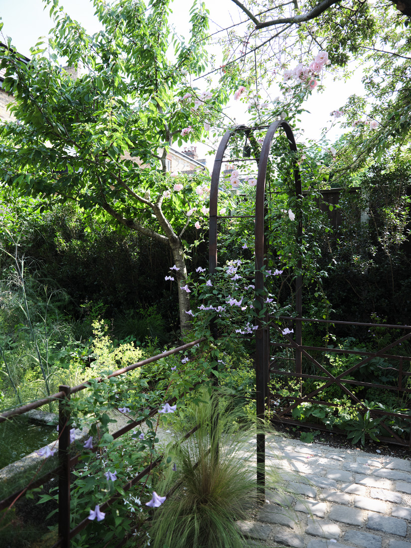 Fragrant climbers cloak steel arches