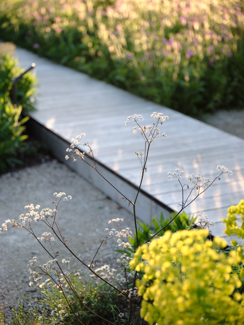 Bronze cow parsley references local hedgerows