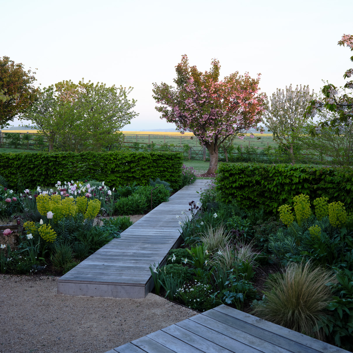 Graphic paths and hedgerows cut through rich borders