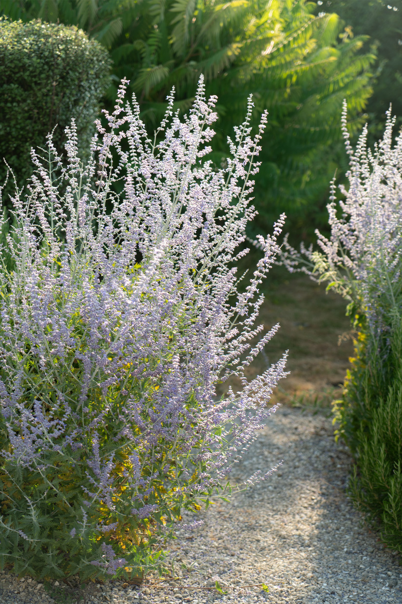 Creekside, Graveney, Kent