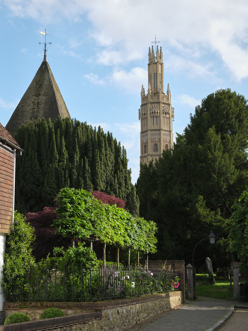 Pleached Hornbeams stand guard against ancient Yew