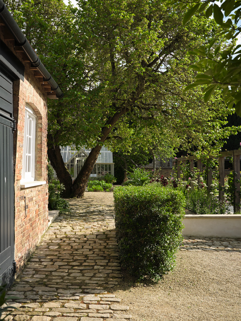 Limestone cobbles lead to an ancient Mulberry tree
