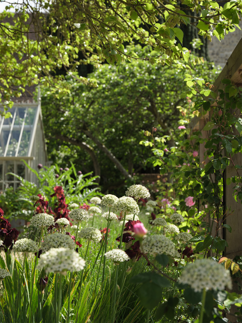A tapestry of ornamental and edimental plants