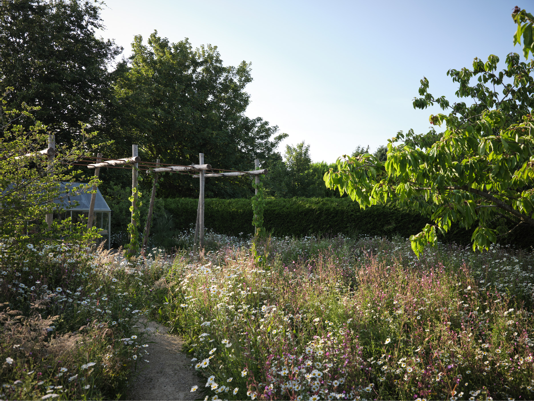 Wildflowers sweep around terrace and pergola