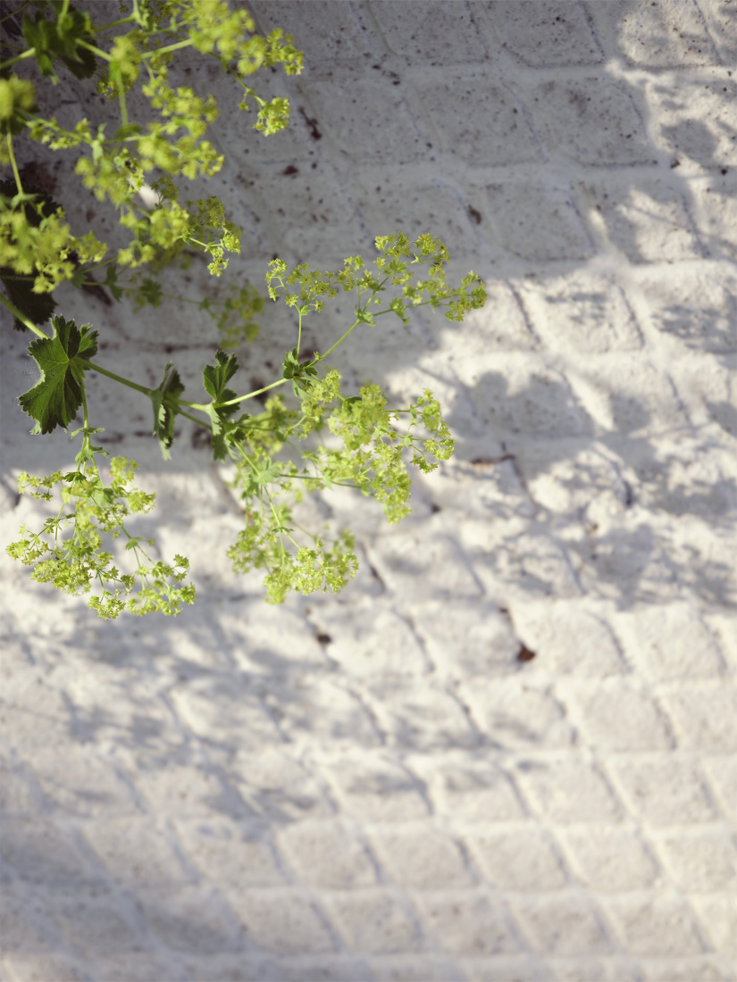 Low carbon concrete adds patterns of interest