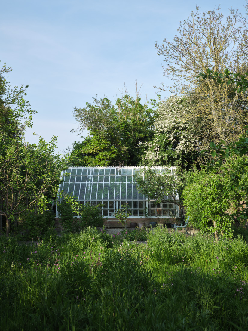 Wild areas encourage biodiversity and attract pollinators