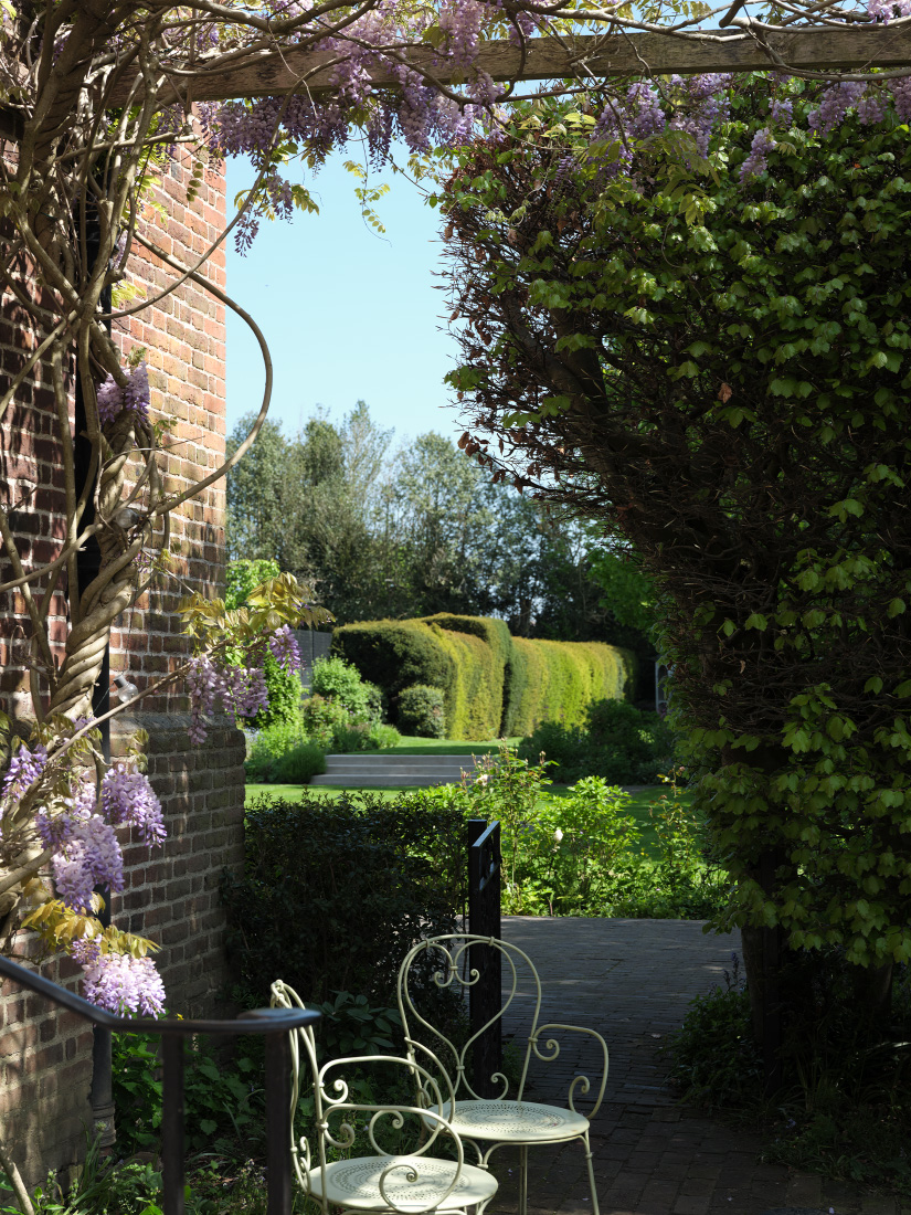 Quiet refuge beneath a Wisteria canopy