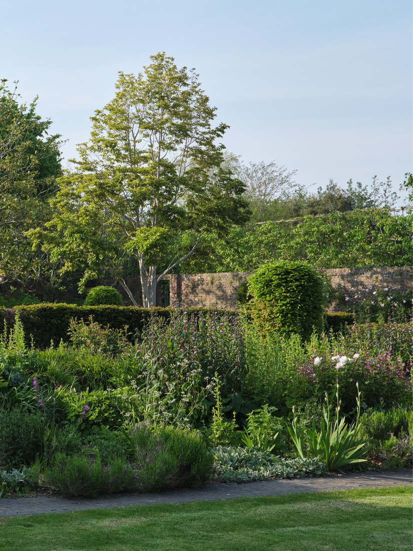 A verdant long border partitions the garden