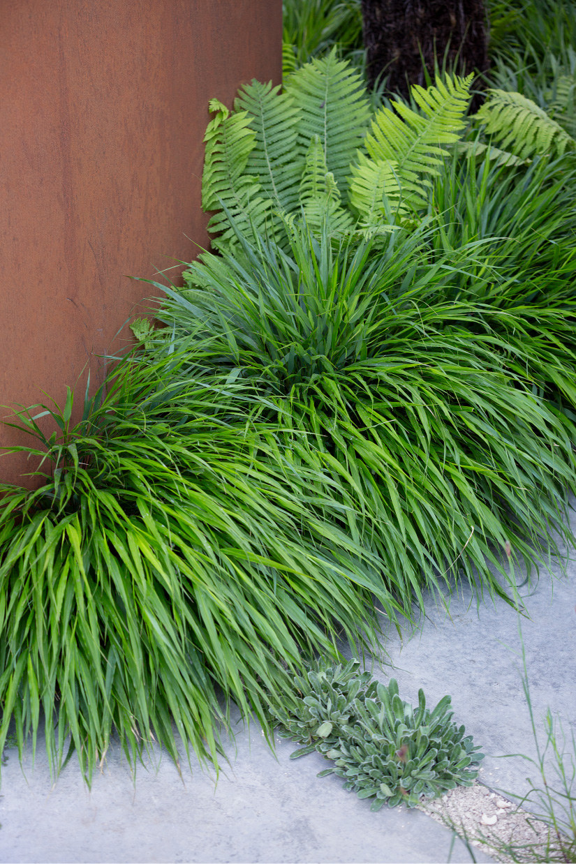 Textural grasses contrast against steel and concrete