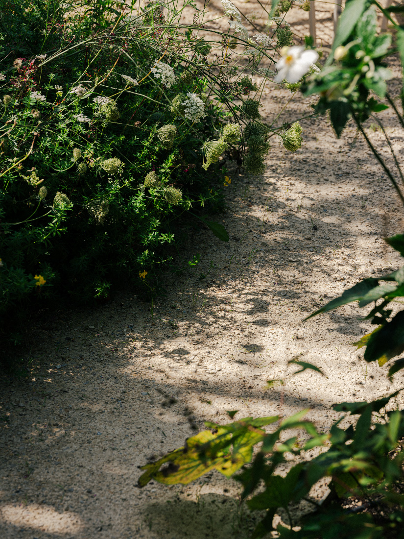 Pathways meander