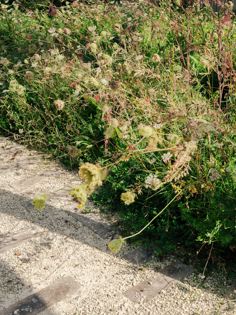 A tapestry of flowers feather the path