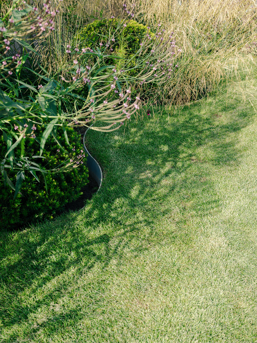 Gentle scallops cradle planting